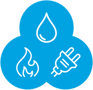 Picture of 3in1 : Water, Gas and Electricity Express Troubleshooting
