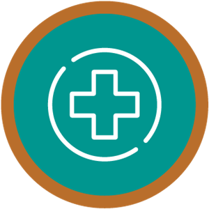 Picture of Health Care Insurance (Bronze)