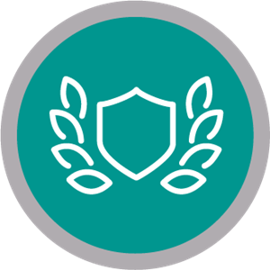 Picture of Senior Advantage (Silver)
